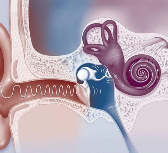 守護(hù)生命之光：探索人工耳蝸技術(shù)的最新進(jìn)展