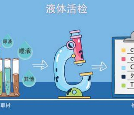 個性化醫(yī)療的關(guān)鍵：液體活檢技術(shù)在癌癥早期檢測中的突破