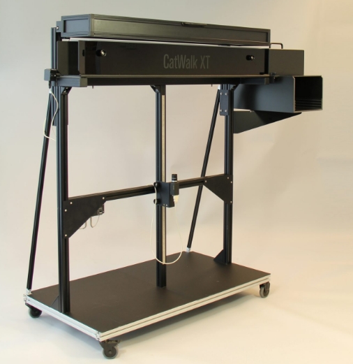 智能康復(fù)評(píng)估的新利器：步態(tài)分析系統(tǒng)在運(yùn)動(dòng)康復(fù)中的應(yīng)用與進(jìn)展