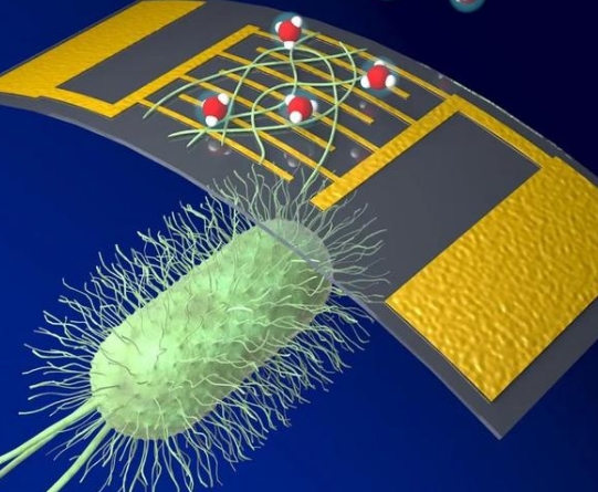 納米傳感器在癌癥早期檢測中的應(yīng)用
