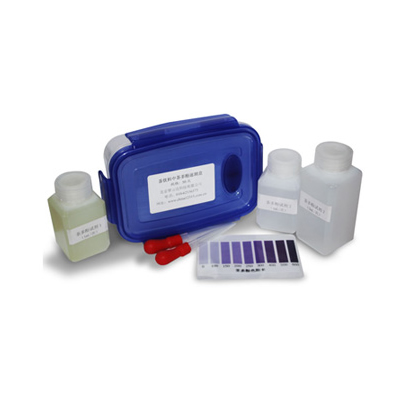 茶飲料中茶多酚速測盒 ZYD-CDF-50